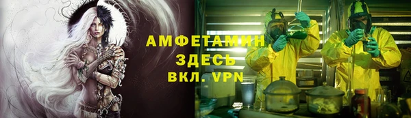 молекула духа Инсар