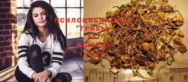 эйфоретик Инта