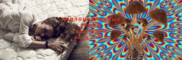 бутират Иннополис
