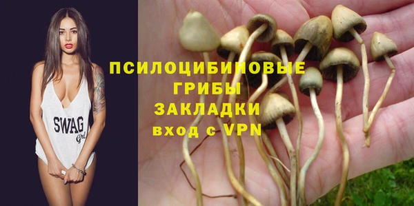 бутират Иннополис
